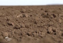 Jesenja setva na jugu Srbije Agrosaveti jesenja setva jug Srbije 02