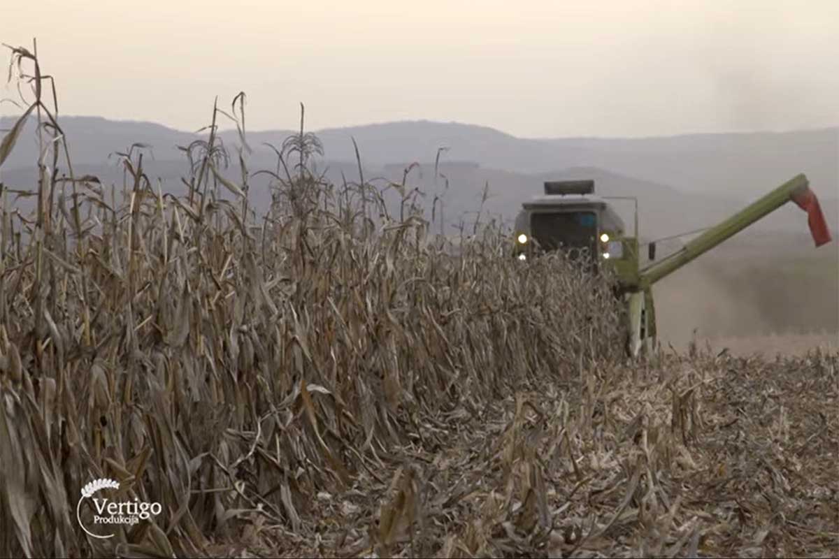 Agrosaveti kasna zetva 02
