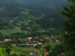 mokra gora