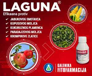 GF Laguna 300x250px 2026