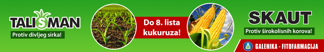 Libreto