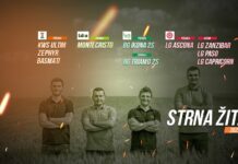 Strna zita ponuda savacoop