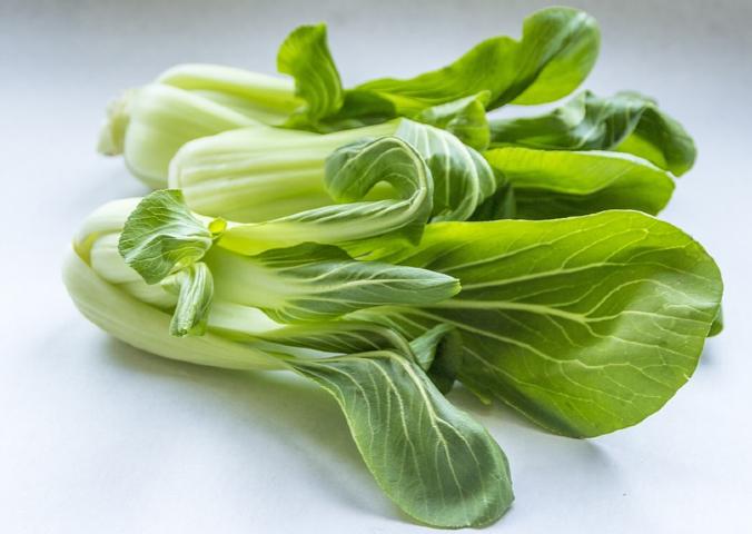 pak choi pak choi