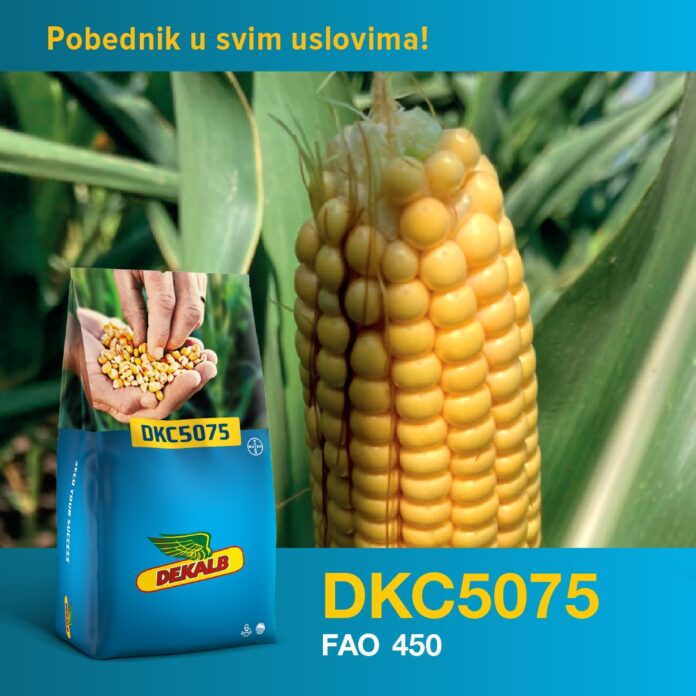 Dekalb DKC5075 Dekalb DKC5075