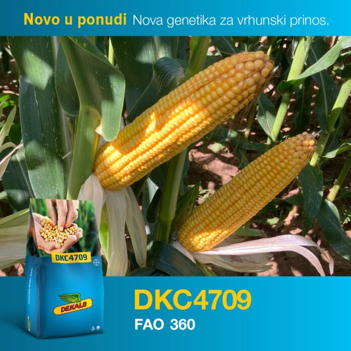 DKC 4709 DKC 4709