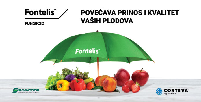 Fontelis Fontelis naslovna