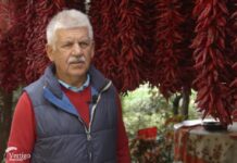 tima jovanov zacinska paprika