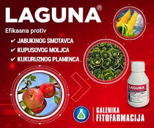 GF Laguna 300x250px