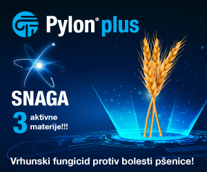 pylon 300x250