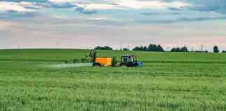 zastita stabla lista i klasa psenice