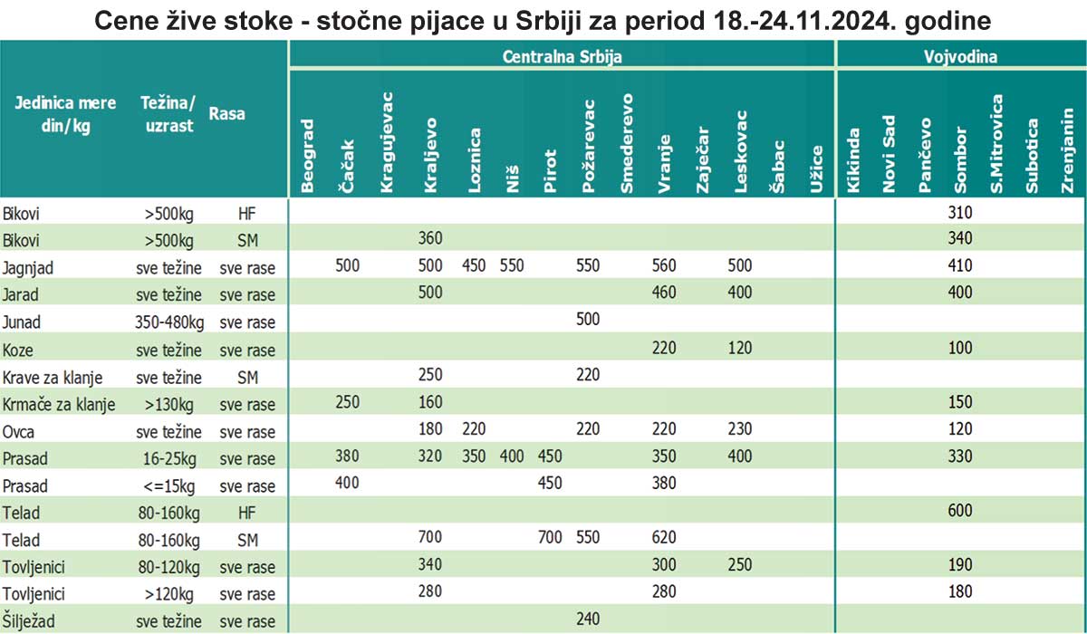cene zive stoke stocne pijace 18 do 24 nov 2024