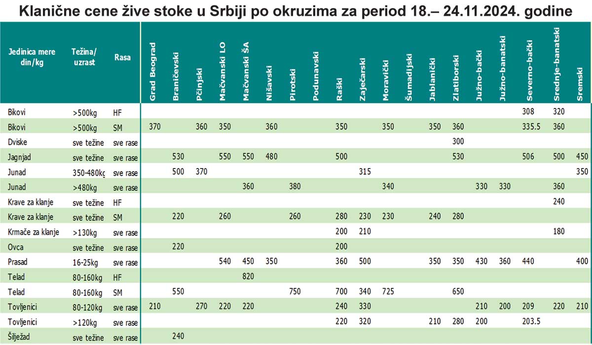 klanicne cene zive stoke 18 do 24 nov 2024