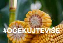 Naslovna tekst