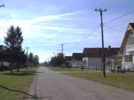 subvencije za kuce 1