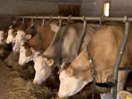 izmene uredbi o podsticajima