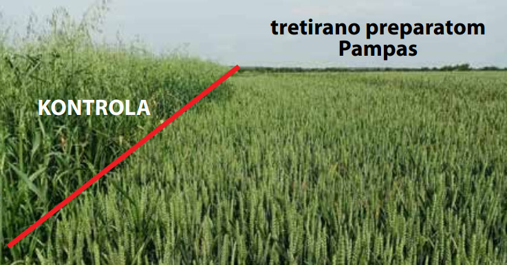 Pamas slika 02