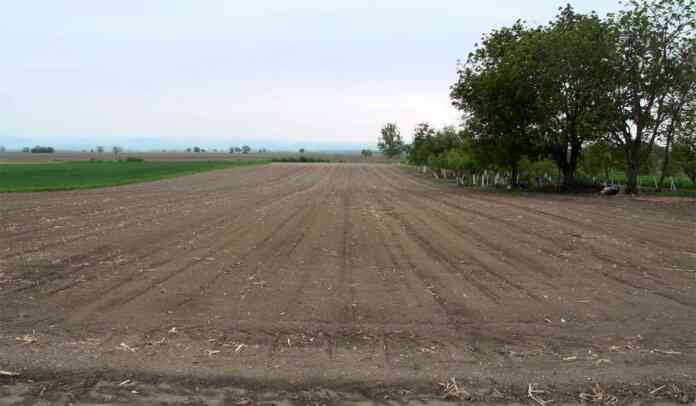 subvencije po hektaru