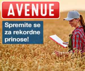 Libreto