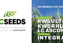 SC Seeds – izborom pravog semena do sigurnog rezultata na njivi Savacoop psenica 01