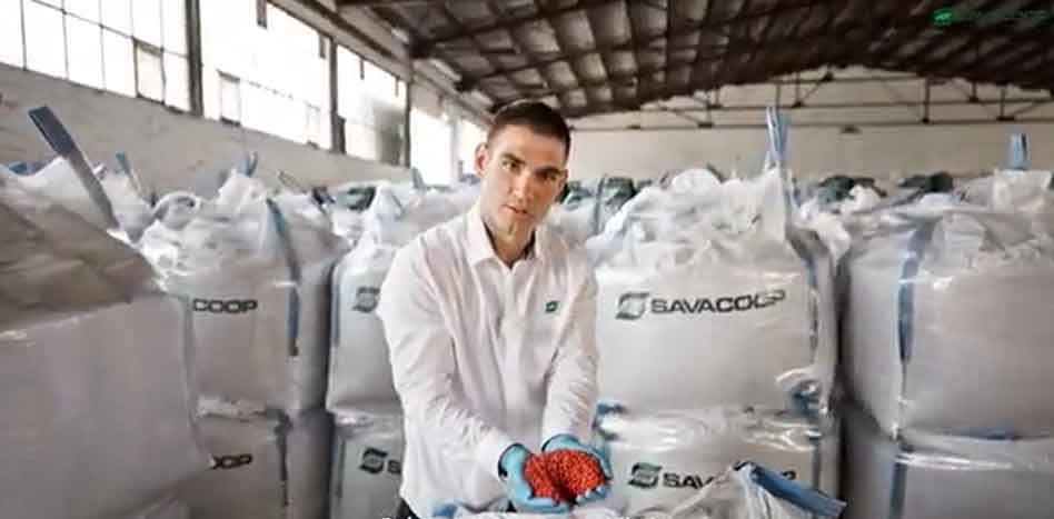 Savacoop psenica 06